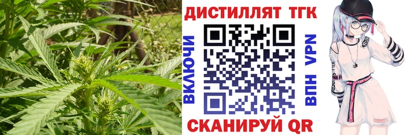 ТГК гашишное масло  Купить где  Снежногорск 