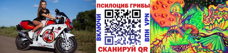 Псилоцибиновые грибы Psilocybine cubensis  Купить закладки  Снежногорск 