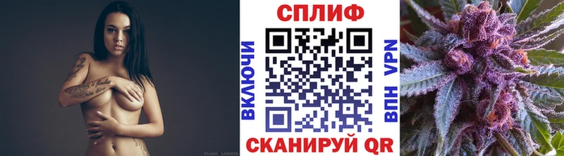 Конопля тримм  Купить закладки  Снежногорск 